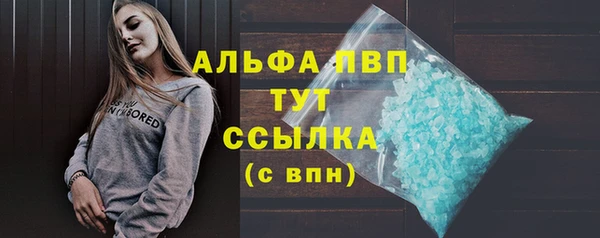 мдпв Нижний Тагил