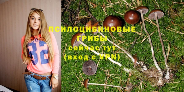 тгк Лагань