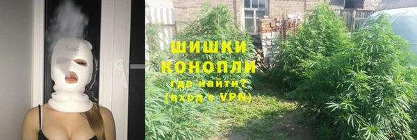 тгк Лагань
