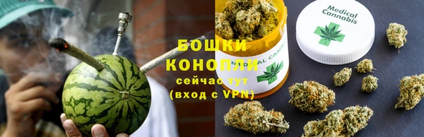 тгк Лагань