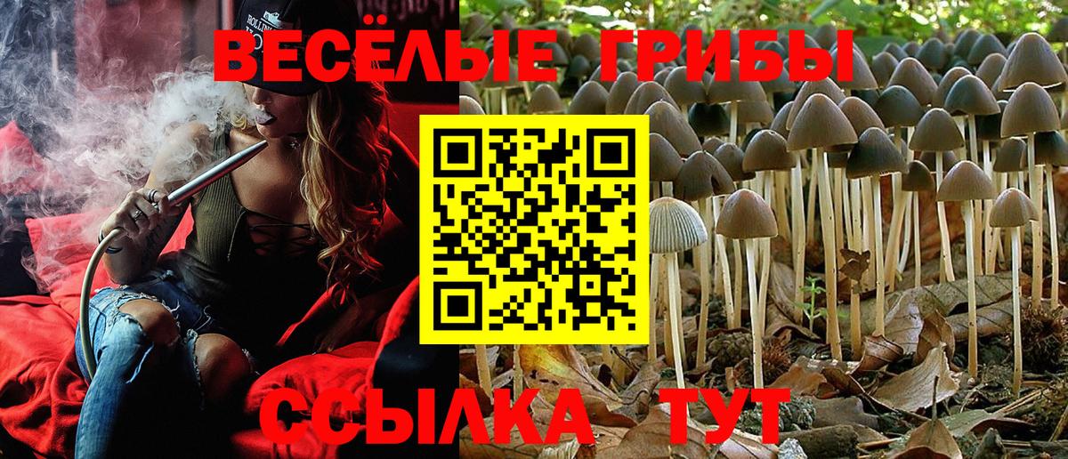 Галлюциногенные грибы Cubensis Дмитров