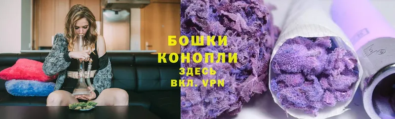 Бошки Шишки THC 21%  купить наркотик  ОМГ ОМГ как зайти  Дмитров 