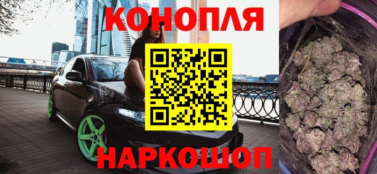 Конопля сатива Дмитров